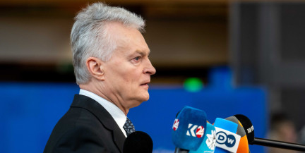 Науседа назвал пункт назначения украинского дрона, упавшего в Литве