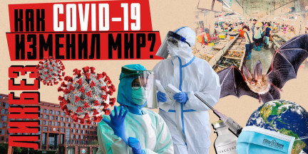 COVID-19 – что это было? Пандемия, вакцины, изоляция и локдаун / Вирус в Ухане/ ЛИКБЕЗ