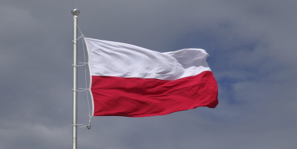 «Восточный щит»: Варшава готовит мины на границе с Беларусью и Россией