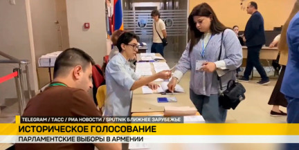 Парламентские выборы в Армении: какая явка на 14:00?
