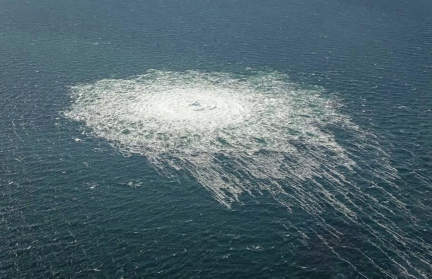 WSJ: Киев признал содействие Польши в вывозе подозреваемого по делу «Северных потоков»