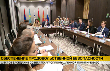 Минск стал площадкой VI заседания Совета по агропромышленной политике ЕАЭС