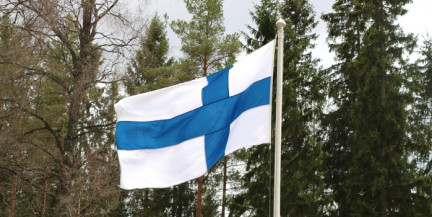 Споры вокруг происхождения волков, нападающих на оленей в Финляндии, не утихают