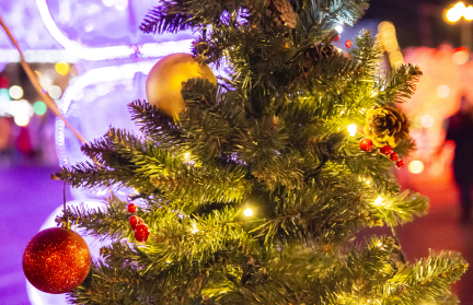 Из-за нехватки финансирования в Германии отменят новогоднее шоу