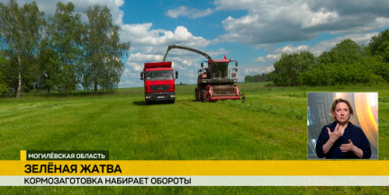 Могилевская область активно включилась в кормозаготовку
