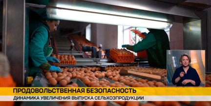 Белстат: сельхозпроизводство в Беларуси выросло почти на 5%