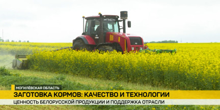Кормовая база и современные комплексы: как в Беларуси создают основу для роста молочного производства – в репортаже ОНТ