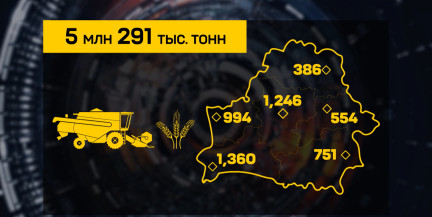 В Беларуси собрано свыше 5 млн тонн зерна – на 2 млн больше, чем год назад