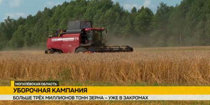 В Беларуси установлен исторический рекорд по сбору озимого ячменя