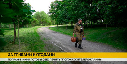 Беларусь готова упростить пропуск жителей Украины через границу для сбора грибов и ягод