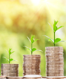 В Беларуси установлены лимиты роста цен на каждый месяц 2026 года