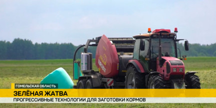 «Зелёная» жатва в разгаре: в Гомельской области заготавливают 55 тысяч тонн трав ежедневно