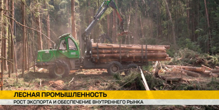 Миллион кубометров и 16 стран: Беларусь укрепляет экспортный потенциал лесной отрасли