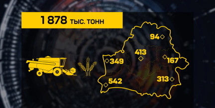 Средняя урожайность – 40 центнеров с гектара: Минсельхозпрод отчитался о ходе уборочной