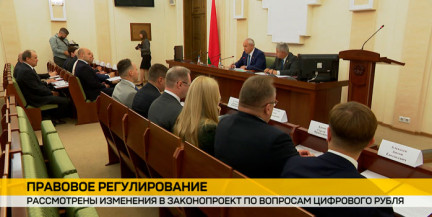 На пути к цифровому рублю: в Палате представителей обсудили правовые аспекты новой валюты