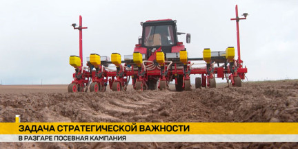 В лидеры посевной вышли Гродненский и Брестский регионы