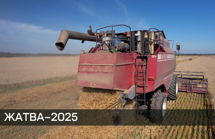 В регионах Беларуси собрано почти 8,5 млн тонн зерна – Минсельхозпрод