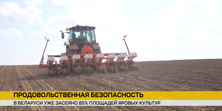 В Беларуси засеяно 85% площадей яровых культур