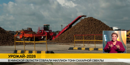 Минская область первой в стране собрала миллион тонн сахарной свеклы