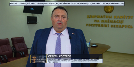 Более 31 тысячи белорусов узаконили свои земельные участки в рамках амнистии