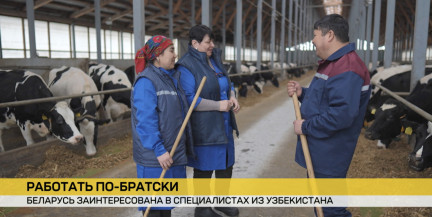 Сотрудничество Витебского региона с Андижанской областью. О каких совместных белорусско-узбекских проектах договорились лидеры двух стран