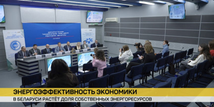 В Беларуси растет доля собственных энергоресурсов