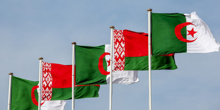 Лукашенко: Беларусь и Алжир договорились к концу 2027-го достичь $500 млн товарооборота