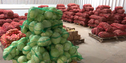 Правительством определены объемы плодоовощной продукции в стабфондах на межсезонный период 2026/2027 года