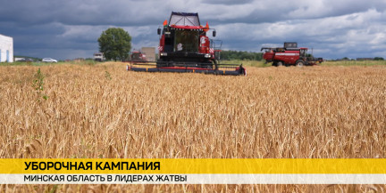 Уборочная в разгаре: ячмень уходит в закрома, аграрии берутся за рапс и лен