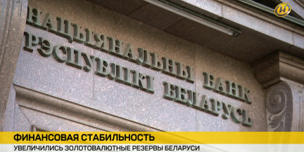 Золотовалютные резервы Беларуси выросли до 14,2 миллиарда долларов