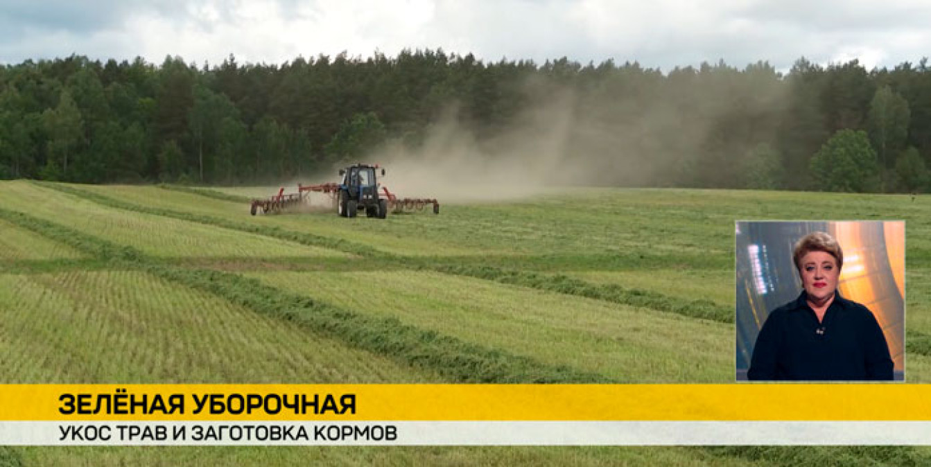 Специальные комбайны для покоса травы работают в полях с утра до вечера