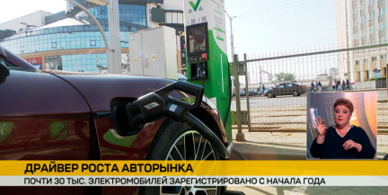 Нулевой НДС и быстрые зарядки: что стимулирует спрос на электрокары в Беларуси