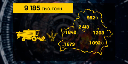 Продовольственная безопасность в действии: Беларусь собрала почти 9,2 млн тонн зерна