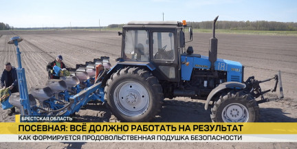 В южных регионах Беларуси завершен активный сев ранних яровых зерновых