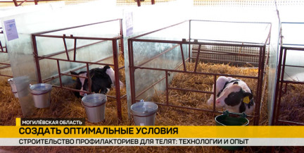 Опыт применения различных технологий в животноводстве обсудили на семинаре-практикуме в Могилёвской области