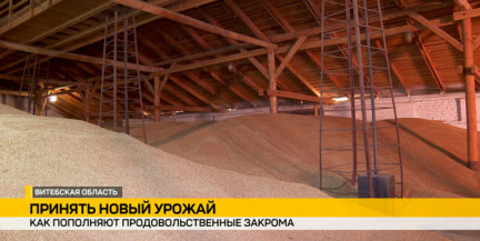 В вопросах качества мелочей не бывает: как специалисты Полоцкого комбината следят за качеством зерна