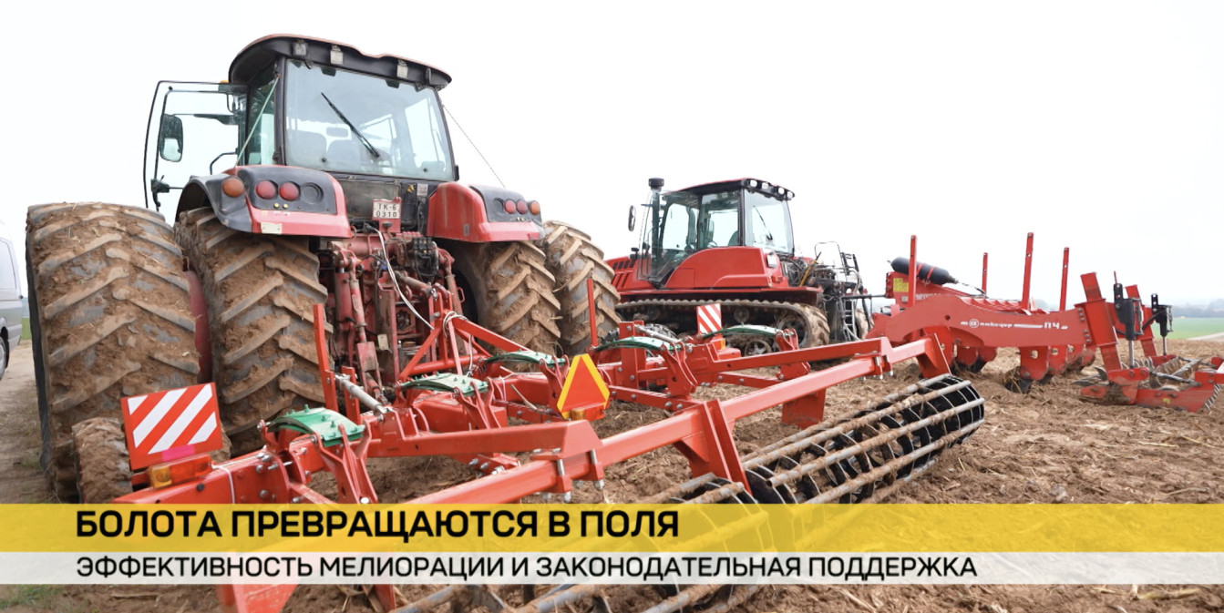 В Беларуси продолжается масштабная мелиорация. О чем говорили депутаты на объекте в Чашникском районе