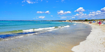 Пляжи на острове Тенерифе закрыты из-за ядовитых организмов