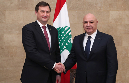 Беларусь по решению Президента передаст Ливану 100 тонн сухого молока и 10 «скорых»