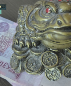Помогут с выбором, снимут порчу, прогонят сглаз. Как обманывают мошенники, гадалки и экстрасенсы