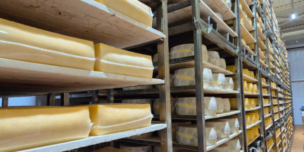 $41 млрд экспорта в 2025 году: что продавала Беларусь за рубеж