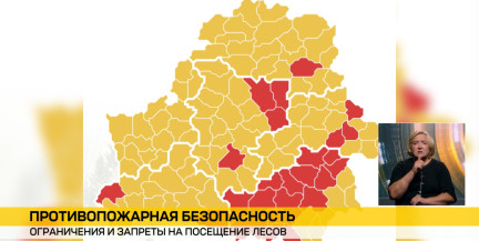 В Беларуси из‑за жары во всех районах ограничены посещения лесов
