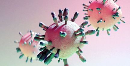 Как уберечь себя от ВПЧ, рассказала врач