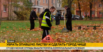 Студенческие отряды помогают Гродно стать чище: молодежь убирает опавшую листву вместе с коммунальщиками