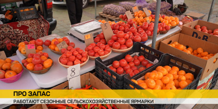 Выгодно и удобно: сезонные ярмарки проходят в Минске – продукты, цены, доставка