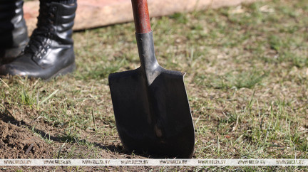 Где минчане могут взять инвентарь для субботника 18 апреля