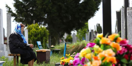 В Беларуси могут запретить производить искусственные цветы – Минприроды