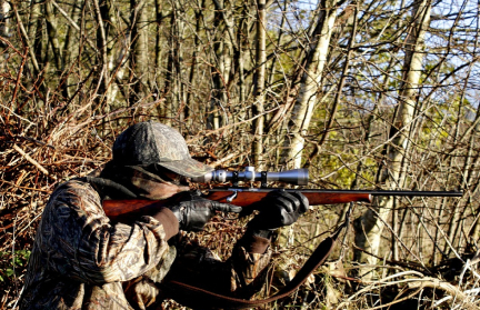 В Беларуси ужесточили правила розыгрыша лицензий на охоту на медведя