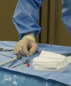 Врачи со всей страны обсудили медицинские приоритеты Программы социально-экономического развития