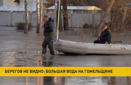 В Гомельской области реки вышли из берегов и приближаются к домам – репортаж ОНТ